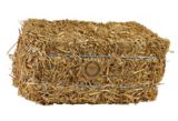 Large Bale of Real Straws for Fall, Thanksgiving & Halloween Home Decorations, Beige, 9-in