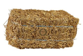Large Bale Of Straw 9 In X 9 In X 12 In Canadian Tire