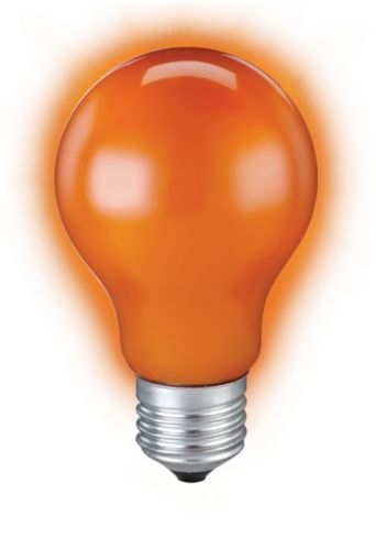 NOMA Incandescent Light Bulb, Standard Fixtures and for Halloween Parties, Orange, 11-cm Product image