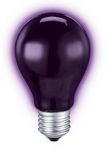 UV Black Light Bulb | NOMAnull