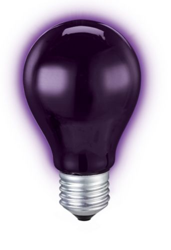 NOMA Incandescent Light Bulb, Standard Fixtures and for Halloween Parties, Black, 11-cm Product image