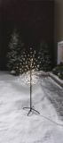 CANVAS Twig Tree, Pure White, 5-ft | CANVASnull