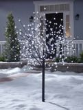 CANVAS Blossom Tree, Pure White, 6-ft | CANVASnull