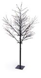 CANVAS Twig Tree, Multicoloured, 8-ft | CANVASnull