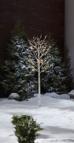 CANVAS Birch Tree, Warm White, 8-ft Product image