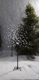 CANVAS Blossom Tree, Pure White, 4-ft, 2-pk | CANVASnull