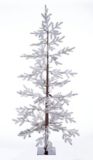 CANVAS Pre-Lit LED  Eastern White Pine Tree, 6-ft | CANVASnull