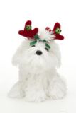 Animated Dancing Decoration Silly Puppy Plush, White, 8-in