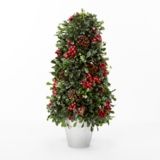 Boxwood Topiary Tree Canadian Tire