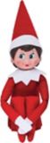 Elf On The Shelf: A Christmas Tradition Includes Boy Scout Elf, Storybook & Keepsake Box | Elf on Shelfnull