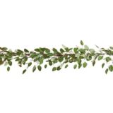Guirlande de Noël de feuilles d’eucalyptus, illuminée à DEL, CANVAS Collection, 9 pi | CANVASnull