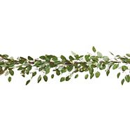 Guirlande de Noël de feuilles d’eucalyptus, illuminée à DEL, CANVAS Collection, 9 pi