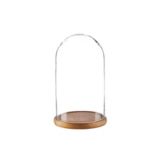 CANVAS Cloche with Wood Base, 10-in | CANVASnull