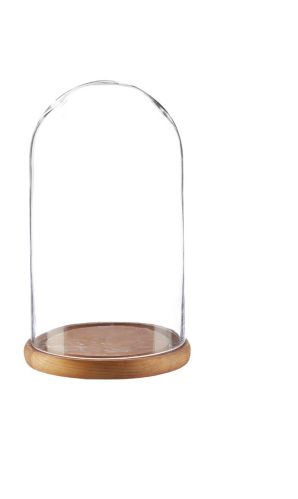 CANVAS Cloche with Wood Base, 14-in Product image