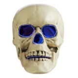 Gemmy Fiber Optic Horror Skull Head with LED Lights for Halloween Decorations, White, 6-in | Gemmynull