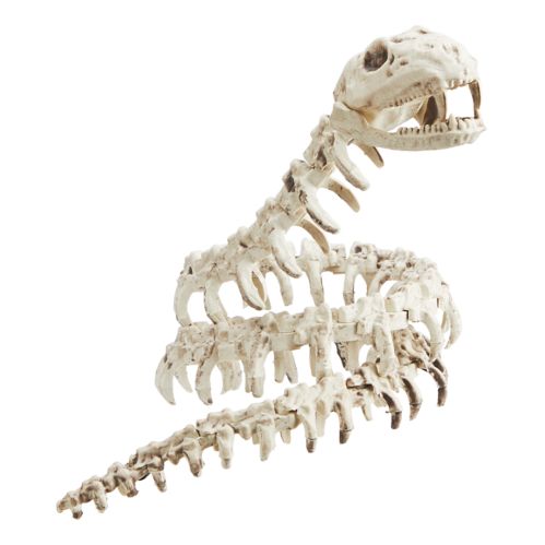 For Living Skeleton Snake, Easy to Bend, Table and Bar Halloween Decorations, White, 43-in Product image