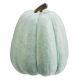 CANVAS Resin Pumpkin Tabletop for Fall & Thanksgiving Home Decorations, Green, 5-in | CANVASnull