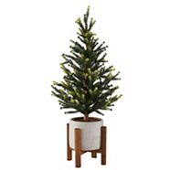 CANVAS Potted Tree with Wooden Base, 24-in