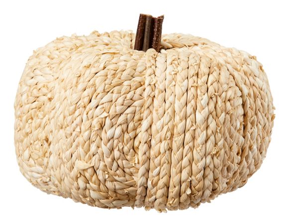 CANVAS Braided Festive Pumpkin, Tabletop Fall & Halloween Home Decorations, White, 8-in Product image