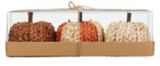 CANVAS Braided Festive Pumpkin Kit, Tabletop Fall  Decorations, Multi-Colour, 4-in, 3-pc | CANVASnull