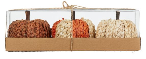 CANVAS Braided Festive Pumpkin Kit, Tabletop Fall  Decorations, Multi-Colour, 4-in, 3-pc Product image