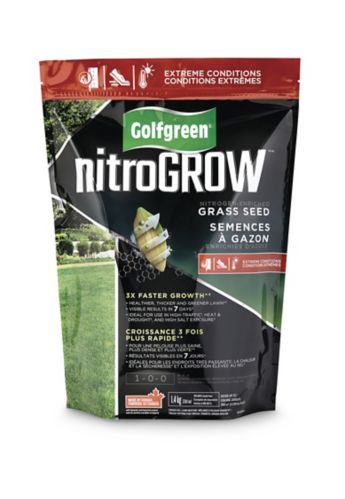 Semences à gazon résistantes aux conditions extrêmes Golfgreen NitroGROW, 1,4 kg Image de l’article
