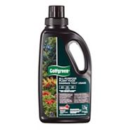 Golfgreen Plant Food All Purpose 10-15-10 Concentrated Liquid