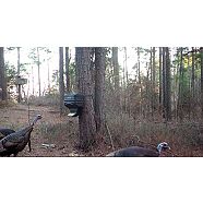 Moultrie Collapsible Feeder 5 Gal Canadian Tire