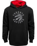 raptors hoodie