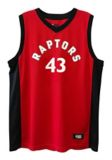 toronto raptors replica jersey