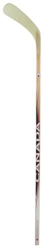 Bâton de hockey de ruelle olympique canadien, junior Image de l’article