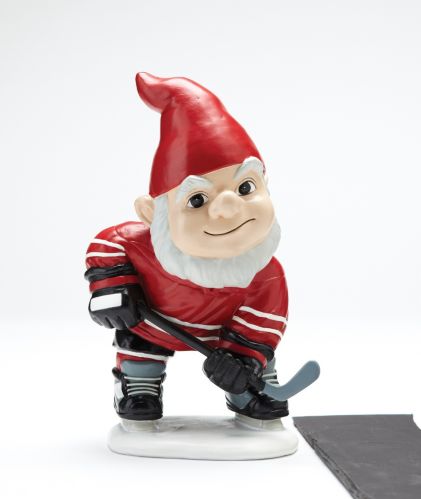 Gnome de hockey Image de l’article