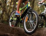 ccm bikes website