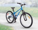 ccm bicycle models