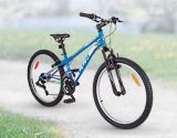 canadian tire mens bikes