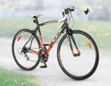 ccm bicycle models