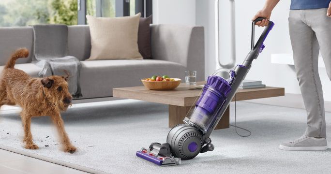 Water Floats &amp; Loungers  From the pool to the lake, take water fun to the next level with floats, loungers and more.  SHOP NOW