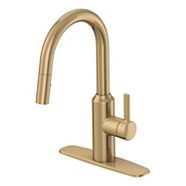 Danze Plymouth Single Handle Pull Out Kitchen Faucet, 8-in ...