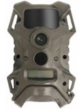 lights out trail cameras