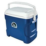 igloo marine cooler 30 qt