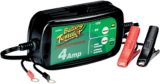 6 volt battery charger canadian tire