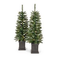 NOMA Pre-Lit Jackson Potted Tree, 4-ft Canadian Tire