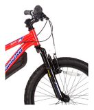 nakamura juvy 20 junior mountain bike