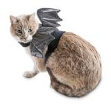 Costume d'Halloween pour chats Petco, chauve-souris | PETCOnull
