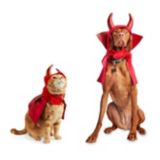 Costume de diable Petco pour l'Halloween | PETCOnull