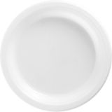 Plastic Dinner Plates, 10-in, 20-pk | Amscannull