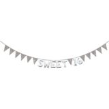 Create Your Own Glitter Silver Pennant Banner