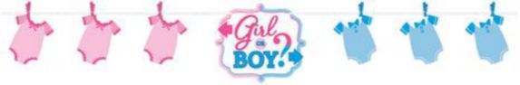 Girl or Boy Gender Reveal Banner Activity Kit Product image