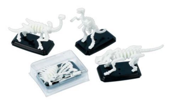 3D Fossil Puzzles, 12-pk Product image