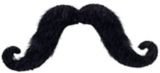 Handlebar Moustache | Amscannull